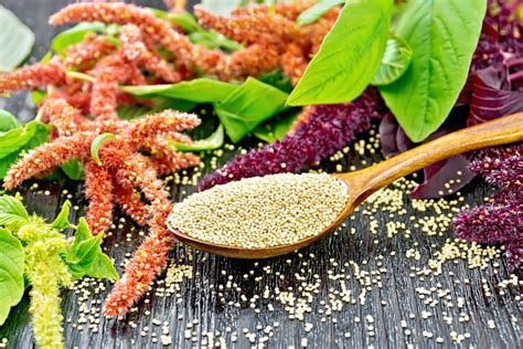 Amaranth